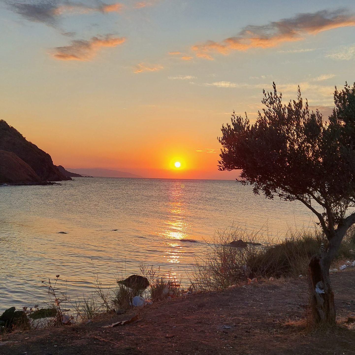 Antyczny port Kapanca w Turcji – biwak pod drzewami oliwnymi