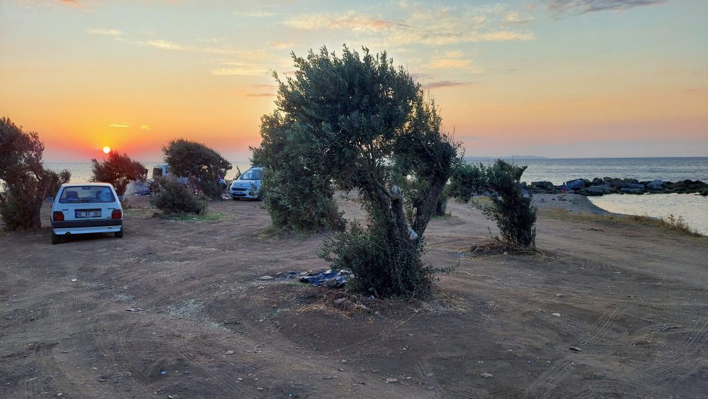 Antyczny port Kapanca w Turcji – biwak pod drzewami oliwnymi