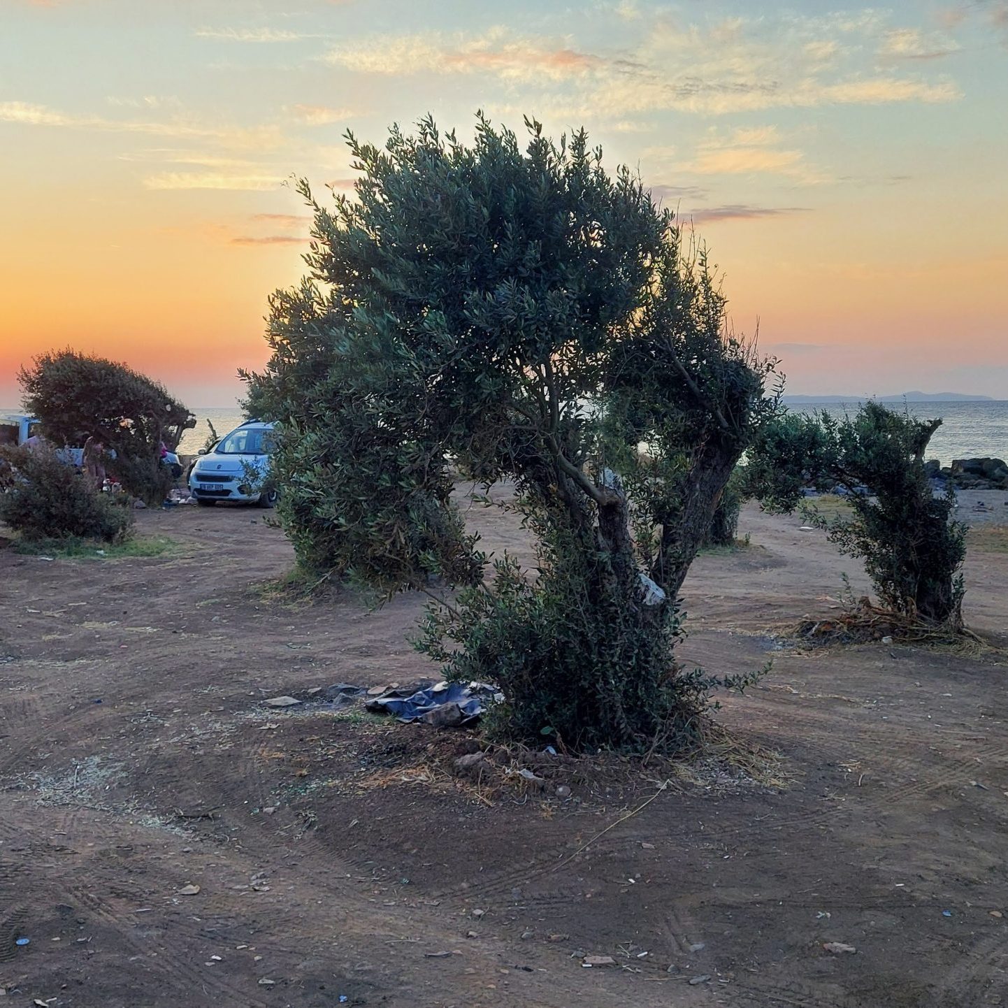 Antyczny port Kapanca w Turcji – biwak pod drzewami oliwnymi