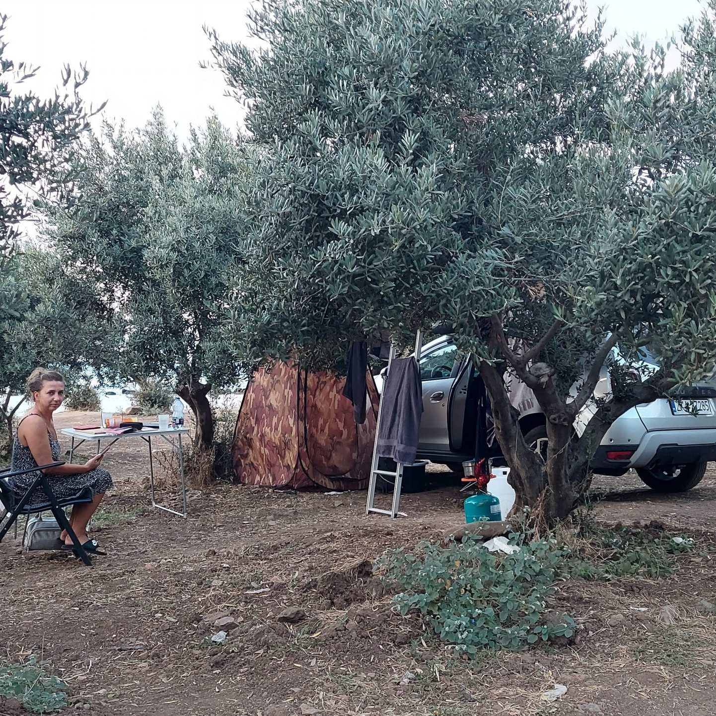 Antyczny port Kapanca w Turcji – biwak pod drzewami oliwnymi