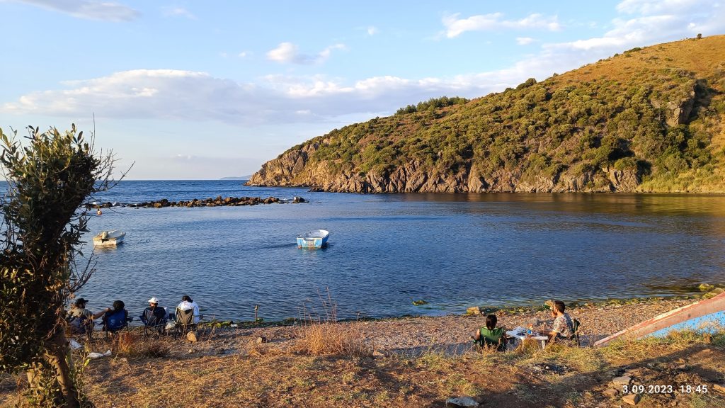 Antyczny port Kapanca w Turcji – biwak pod drzewami oliwnymi