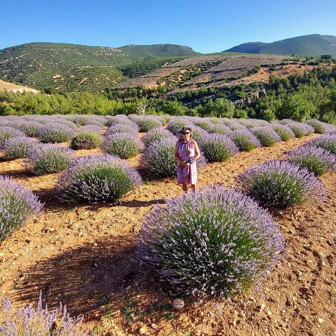 Okolice Burdur, Turcja, pola lawendowe. Terminus Travel