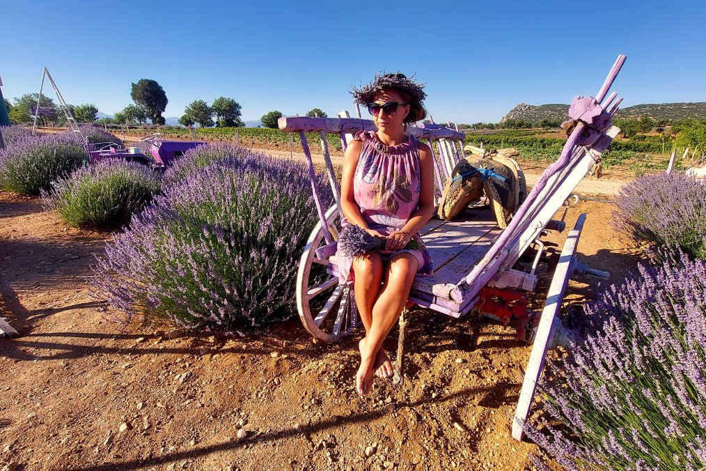 Okolice Burdur, Turcja, pola lawendowe. Terminus Travel