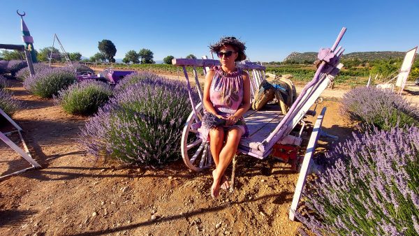 Okolice Burdur, Turcja, pola lawendowe. Terminus Travel