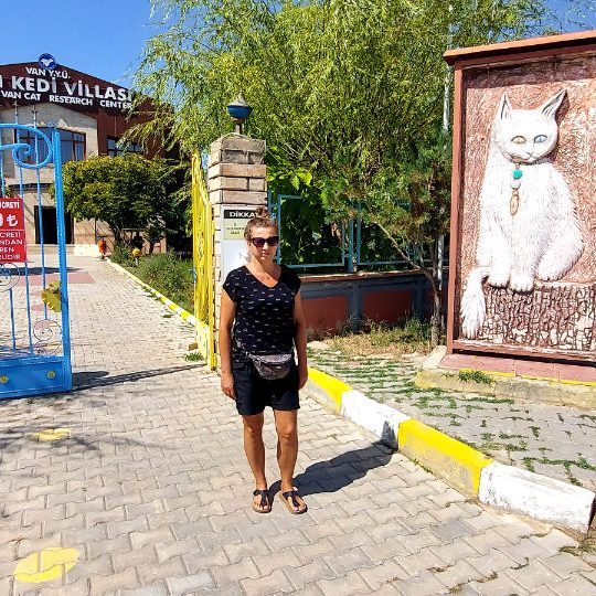 Koty z Van, Turcja - Terminus Travel